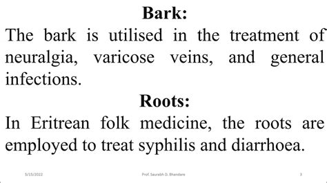 Medicinal And Practical Uses Of Jacaranda Mimosifolia Youtube