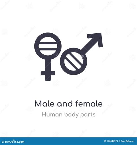 Male And Female Gender Outline Icon Isolated Line Vector Illustration