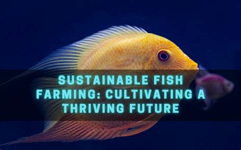 Sustainable Fish Farming: Cultivating a Thriving Future