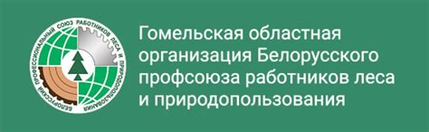 Главная - ГОМЕЛЬСКИЙ ОПЫТНЫЙ ЛЕСХОЗ