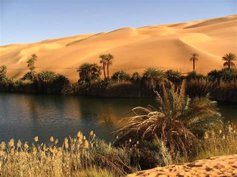 libyan desert  oasis
