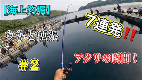 【海上釣堀】ウキと穂先が沈む！アタリの瞬間【脈ウキ釣り】＃2 Youtube