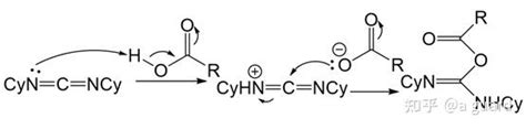 每日有机反应机理分享（7） 知乎
