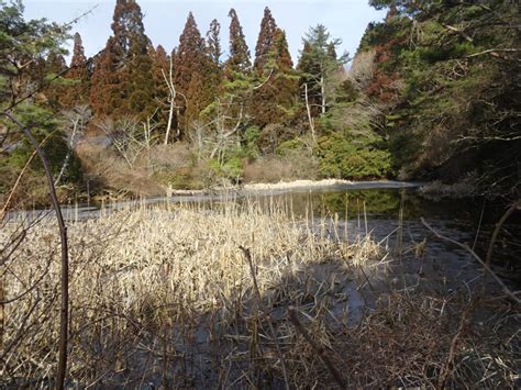 今冬一番の寒気団到来で六甲山は？ 六甲山ビジターセンター