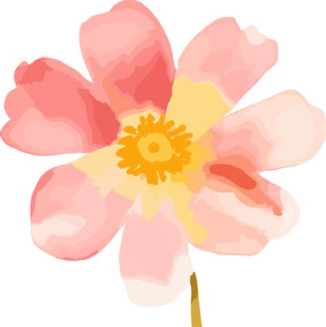 ai generiert Pastell Blüten Aquarell Blume Clip Art im Rosa und