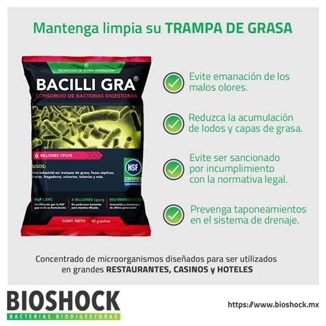 Bacterias Biodigestora Para Trampas De Grasa Mercado Libre