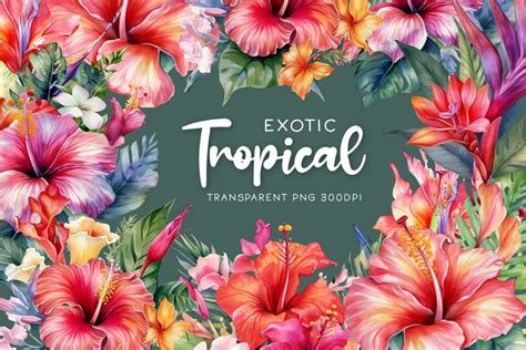 Watercolor Tropical Flower Clipart Exotic Tropic Leaves