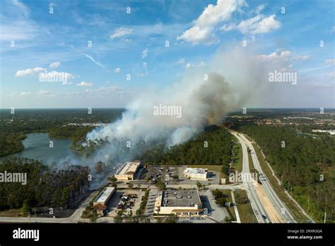 Navigating The Flames Understanding Floridas Fire Landscape