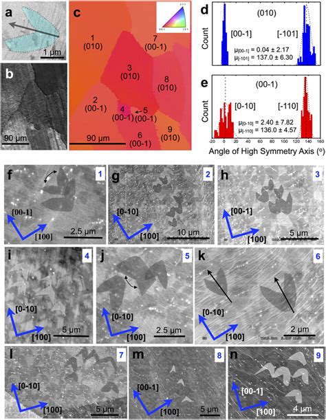 Sem And Ebsd Images Of Cu Grain Effect On Graphene Domain Shape A