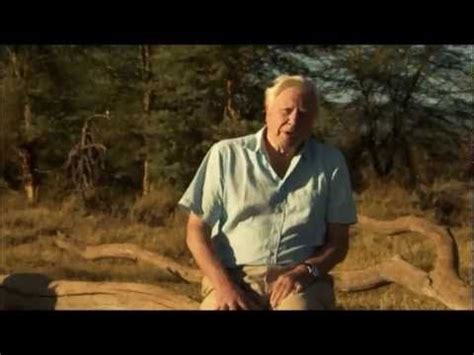 David Attenborough's Africa (BBC) - Epilogue - YouTube | David ...