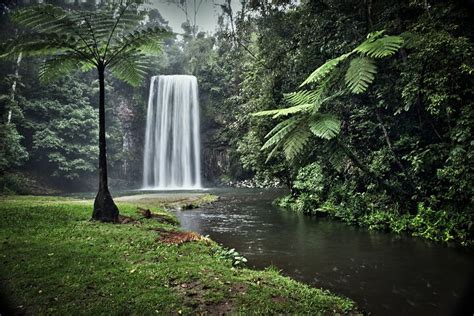 Tour Di Un Intera Giornata Agli Atherton Tablelands Con Degustazione Di