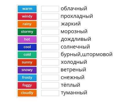 Кузовлев 3 класс 6 юнит - Сопоставить