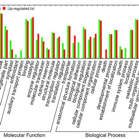 Gene Ontology GO Classification Of DEGs Identified At 48 Hpi After S