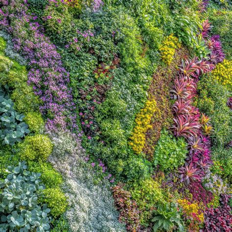 Gardeners Encouraging Biodiversity Through Native Plantings | Premium
