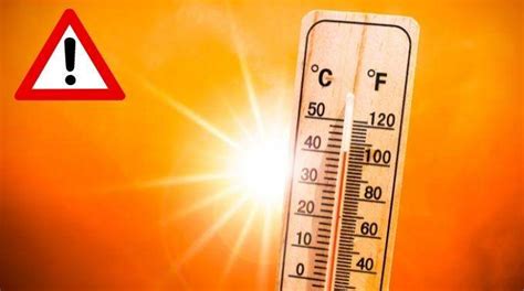 10 Erreurs à Éviter Pendant la Canicule