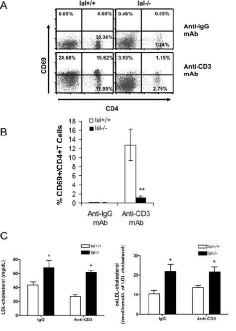 Cytokine Expression By Splenic Cd4 ϩ And Cd8 ϩ T Cells After Tcr