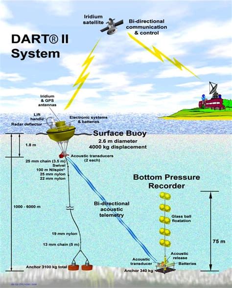 Tsunami warning system turns back time