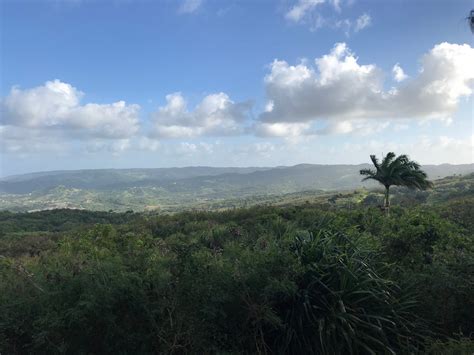Barbados Sustainability and Ecotourism