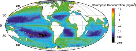 New Estimate Of Living Biomass One Third Less Life On Planet Earth