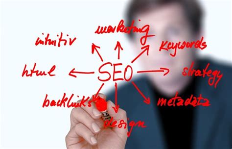 What Is Seo Marketing And The Beginners Guide To Seo