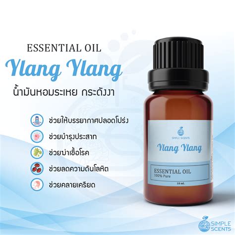 Ylang Ylang Essential Oil น้ำมันหอมระเหย กระดังงา Ylang Ylang Oil 10 Ml Simplescentsdiy