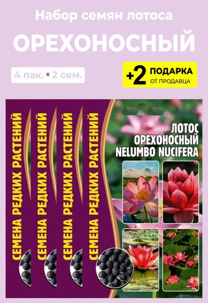 Лотос For Home And Family Орехоносный_оранжевый - купить по выгодным ...