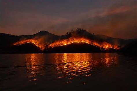 What caused the Australia Fires, their Impact on the Environment? | Sustainable Warriors