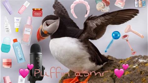 Puffin Asmr Satisfying Asmr Puffins Puffin Youtube