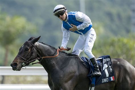 【香港ヴァーズ】ゼッフィーロは惜しい2着レース後コメント ライブドアニュース