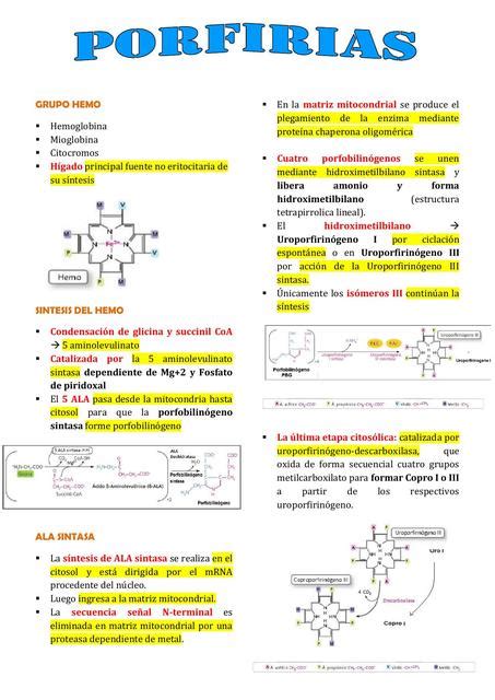 Porfirias Leslie Carhuaz Udocz