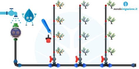 Come Realizzare L Impianto Di Irrigazione A Goccia Per Vasi Giardino