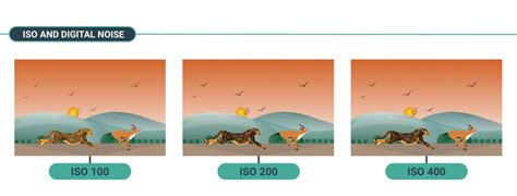 What Is ISO Sensitivity Understanding ISO In Photography