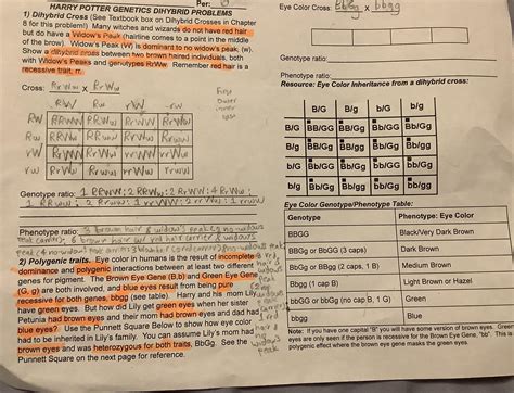 Genetics 9th Grade Biology Test 5