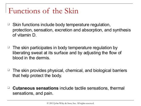 Chapter 5 The Integumentary System