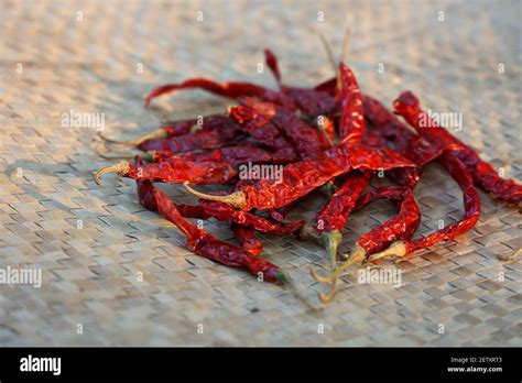 Indian Woman Hand Powdering Indian Spices Red Chilly Chili Paprika