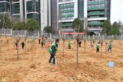 新春植树添新绿 观山湖区两百余名干部职工参与义务植树生态建设面积