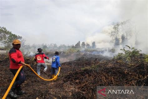 Kalteng Siaga Mengantisipasi Kebakaran Hutan Dan Lahan Antara News Kalimantan Barat