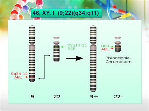 Lecture 2 Chromosome Anomalies Muhammad Faiyaz Ul Haque Phd Frcpath Ppt Download