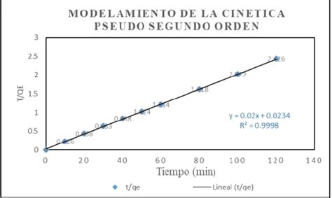 Modelo De Freundlich Modelamiento De Las Isotermas De Adsorci N