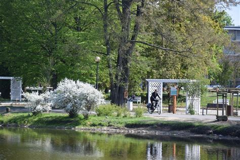 Gorzów Park Róż Brzegu stawu nie naprawiali ale zjazd dla wózków