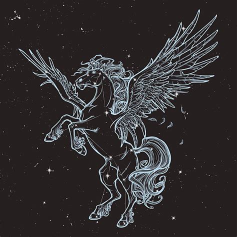 Top 60 Pegasus Constellation Clip Art, Vector Graphics and Illustrations - iStock