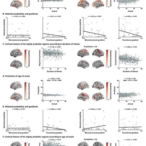 Associations Between Cortical Features And Clinical Variables A