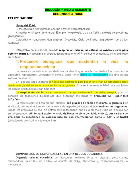 Resumen Biologia Y Medio Ambiente M3 M4 BIOLOGÍA Y MEDIO AMBIENTE