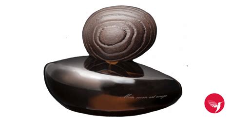 Mon Nom est Rouge Majda Bekkali perfume - a fragrance for women and men ...