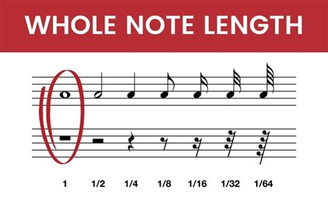 how many beats is a whole note? (Answer Might Surprise You!)