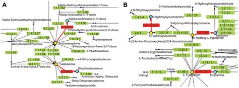 Kegg Metabolic Pathways Containing Chokepoint Reactions For Which A Download Scientific Diagram