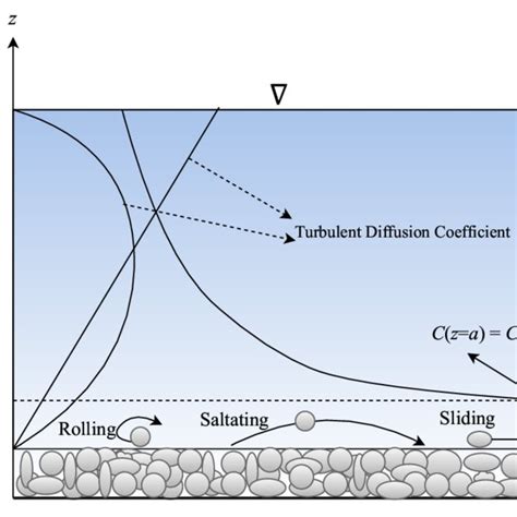 Schematic Diagram Of Sediment Transport Process Along A Vertical In