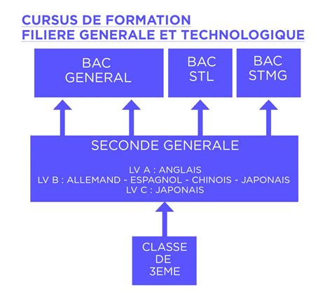 Voie Générale Et Technologique Elisa Lemonnier Lycée Polyvalent