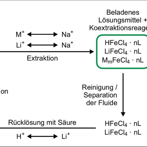 A Schematische Darstellung Einer Elektrochemischen Ionenpumpe Welche