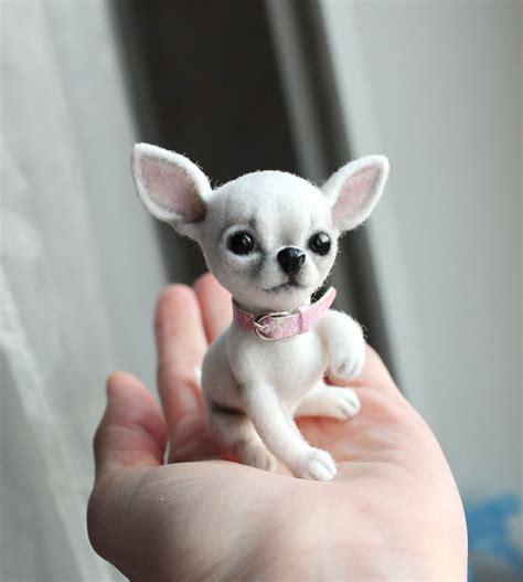 Teacup Chihuahua: The Smallest Dog Breed